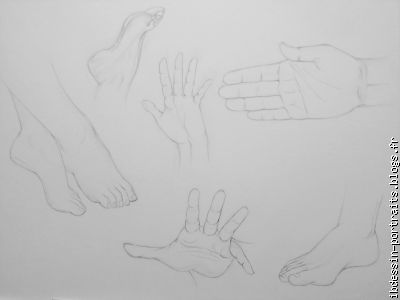 détails des mains et des pieds